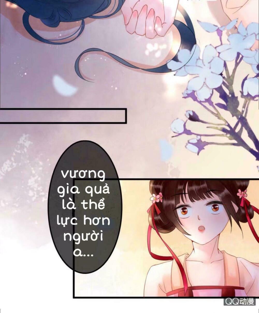 Sủng Phi Của Vương: Chapter 29