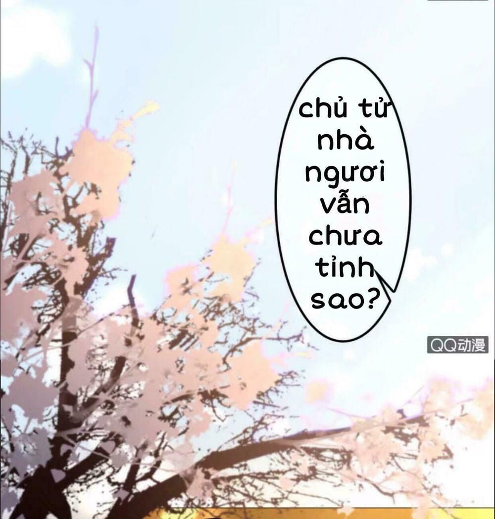 Sủng Phi Của Vương: Chapter 29