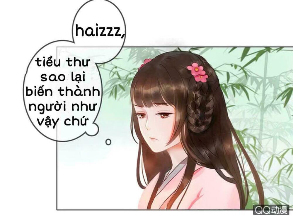 Sủng Phi Của Vương: Chapter 3