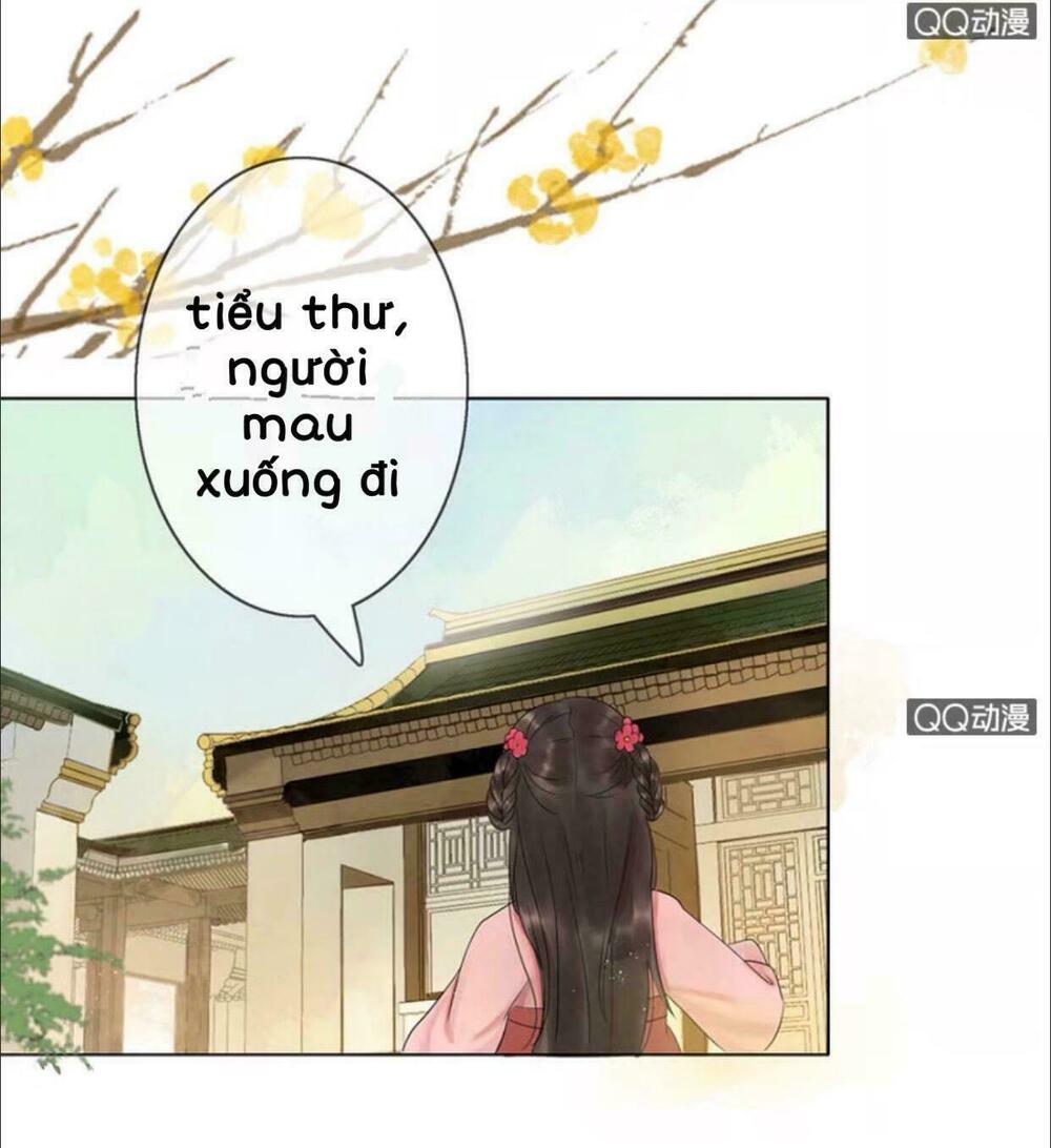 Sủng Phi Của Vương: Chapter 3