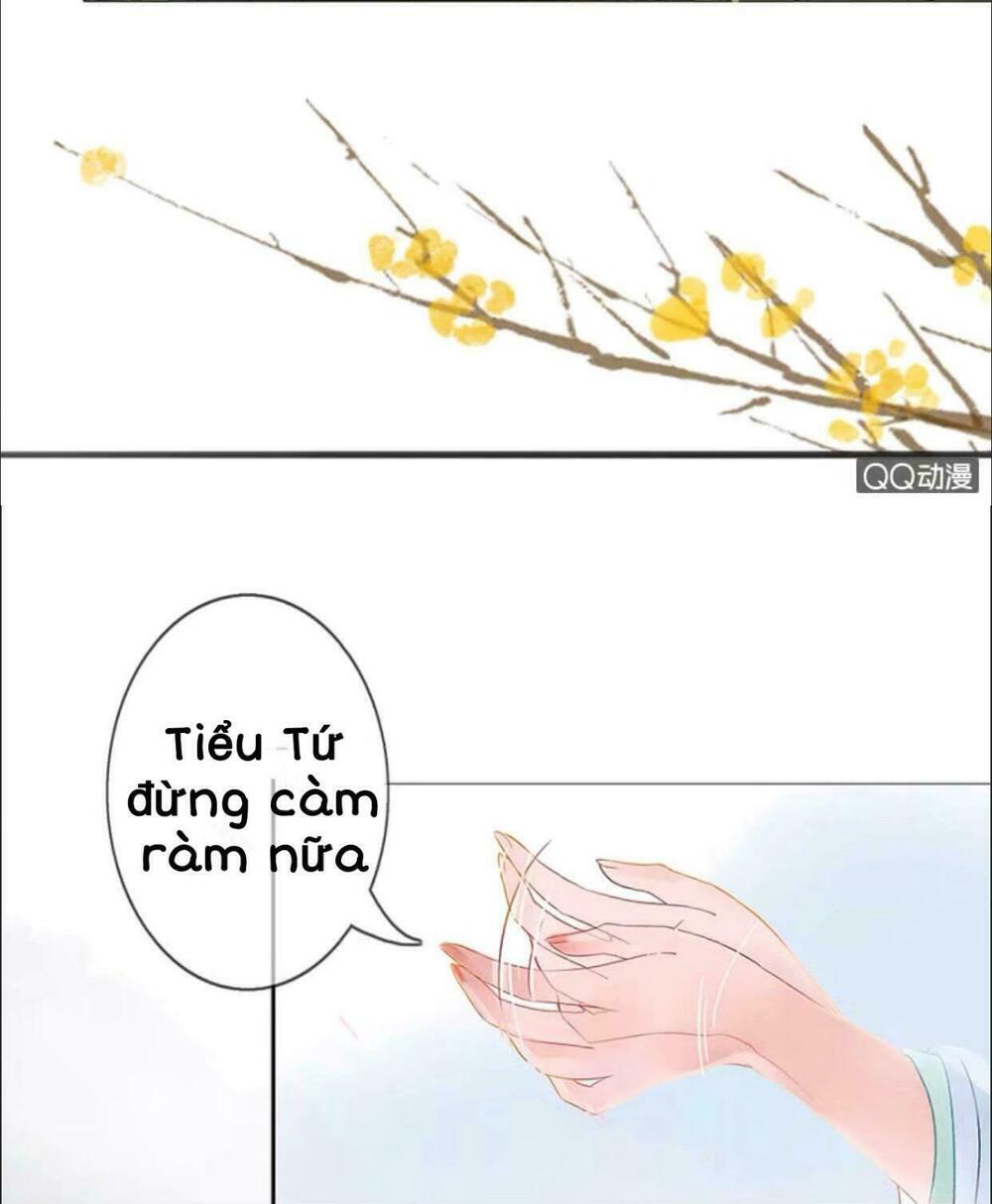 Sủng Phi Của Vương: Chapter 3
