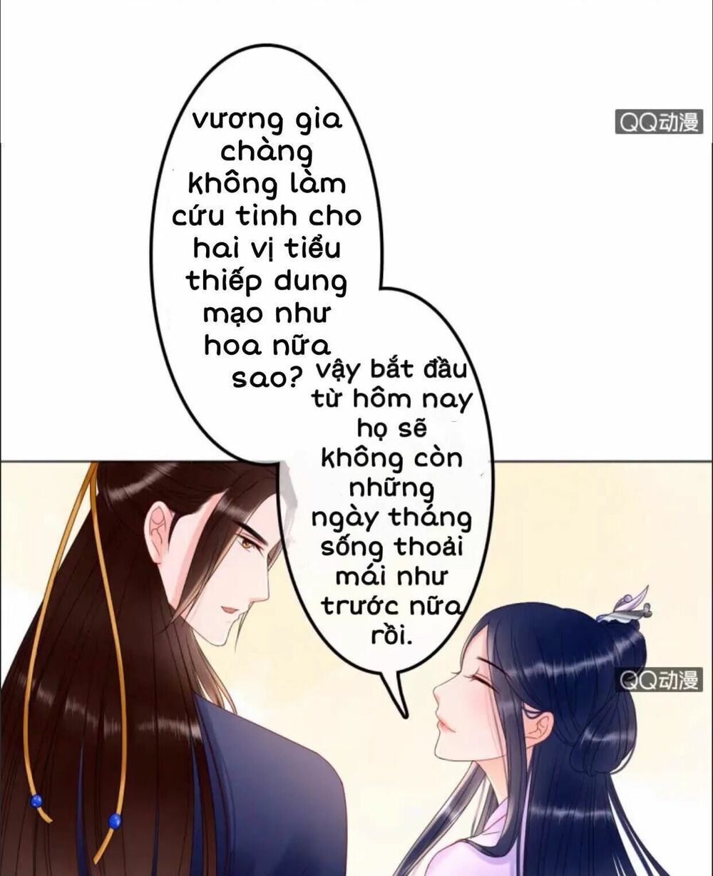 Sủng Phi Của Vương: Chapter 31