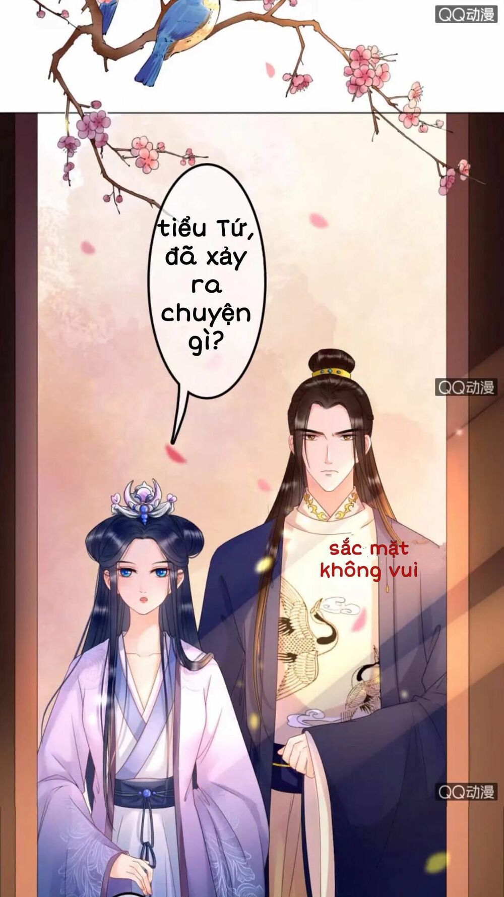 Sủng Phi Của Vương: Chapter 31