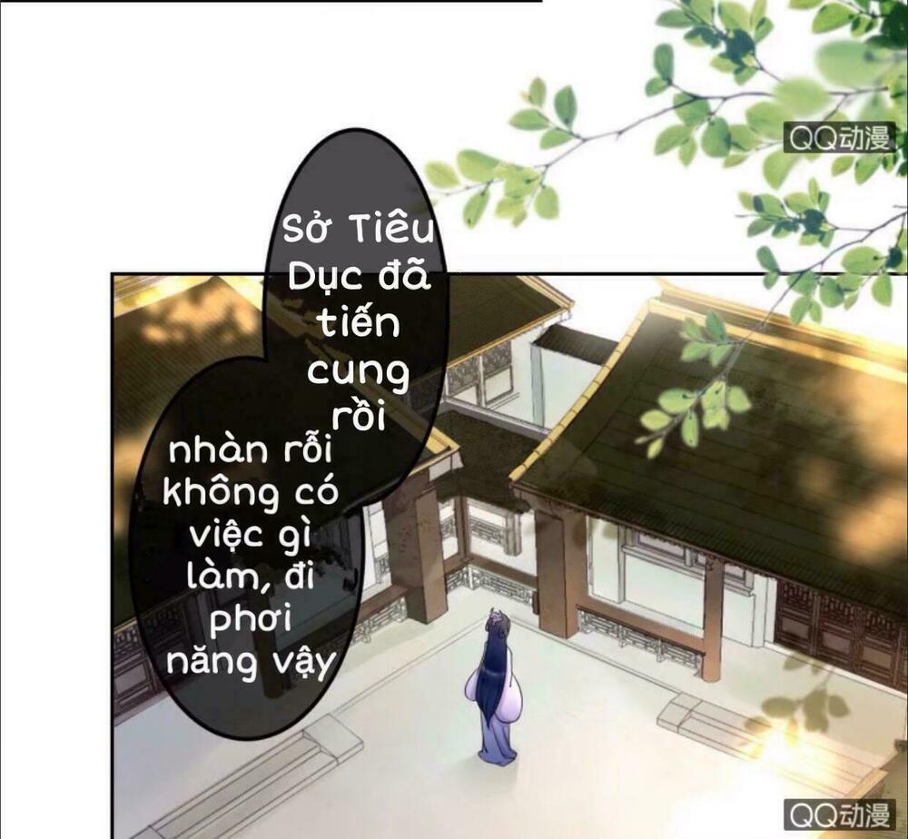 Sủng Phi Của Vương: Chapter 32