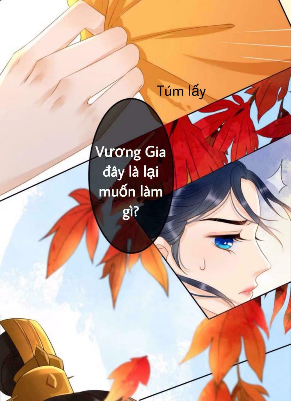 Sủng Phi Của Vương: Chapter 39