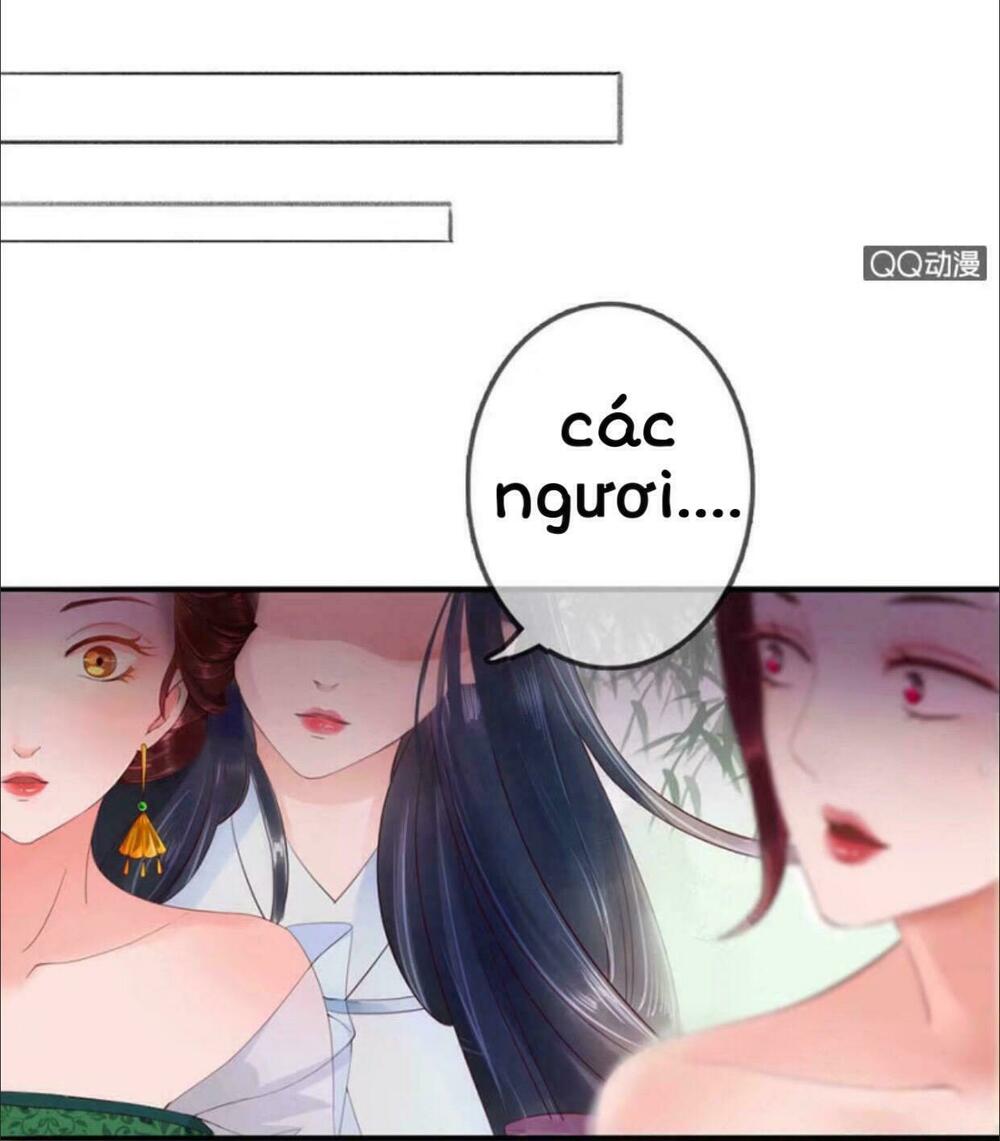 Sủng Phi Của Vương: Chapter 4: -5