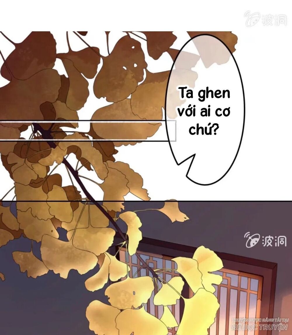 Sủng Phi Của Vương: Chapter 44.1