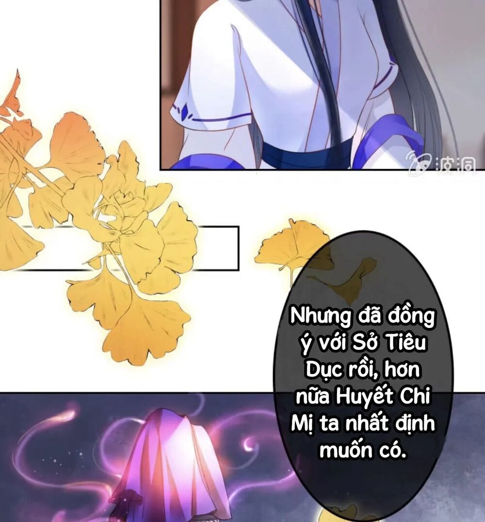 Sủng Phi Của Vương: Chapter 44.1