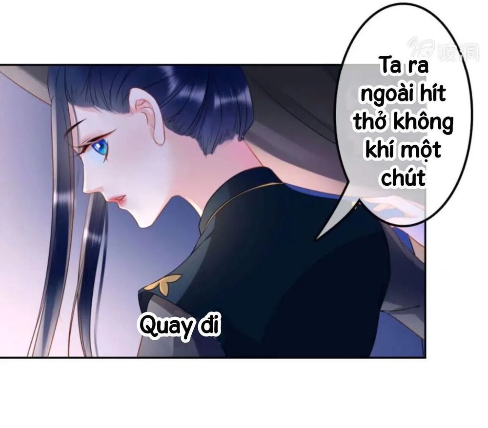 Sủng Phi Của Vương: Chapter 44.1