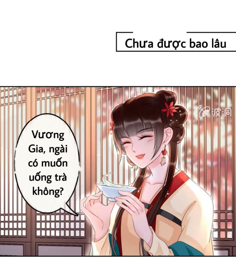 Sủng Phi Của Vương: Chapter 44.2