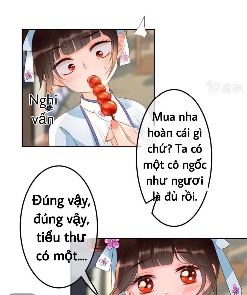 Sủng Phi Của Vương: Chapter 44.3