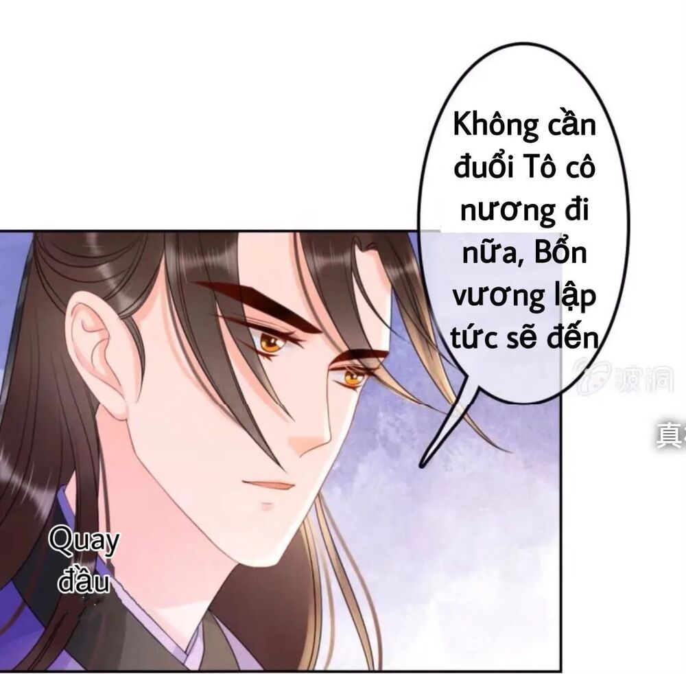 Sủng Phi Của Vương: Chapter 44.3