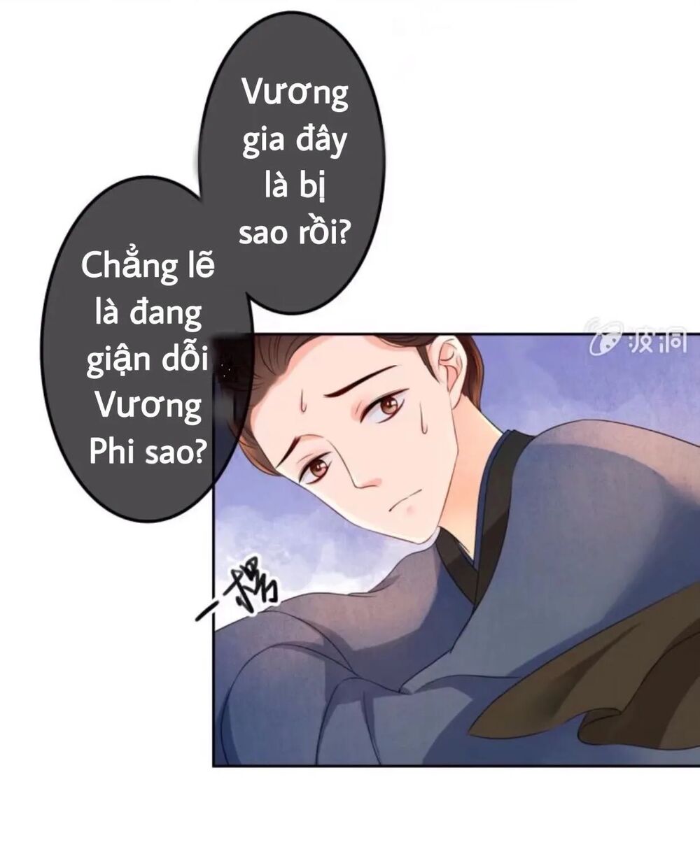 Sủng Phi Của Vương: Chapter 44.3