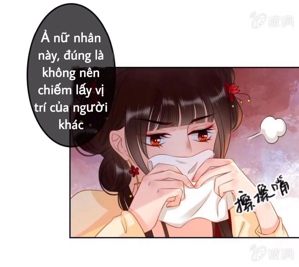 Sủng Phi Của Vương: Chapter 44.3