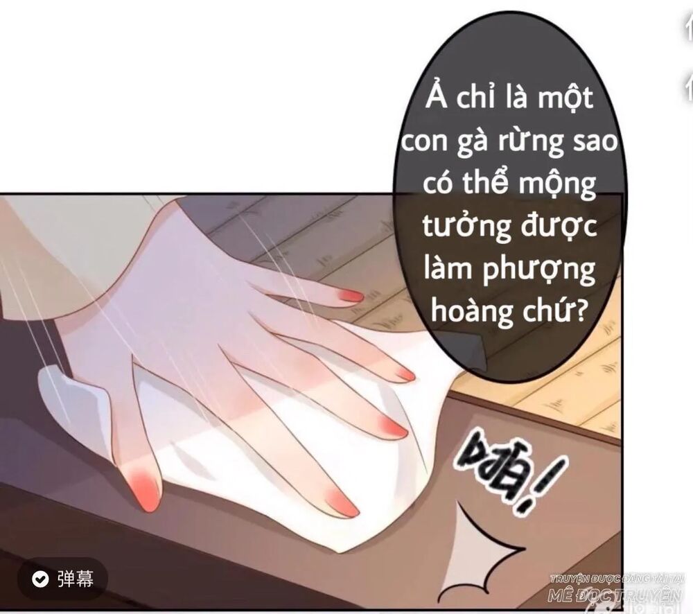 Sủng Phi Của Vương: Chapter 44.3
