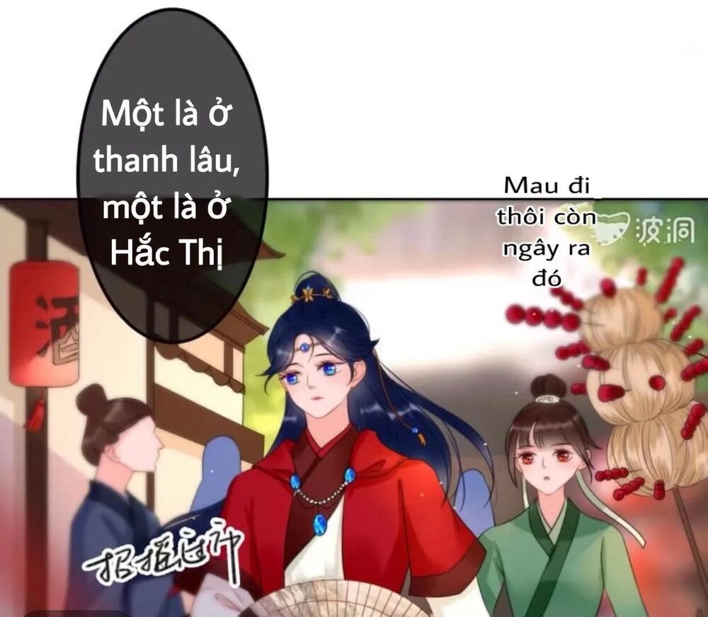 Sủng Phi Của Vương: Chapter 44.4