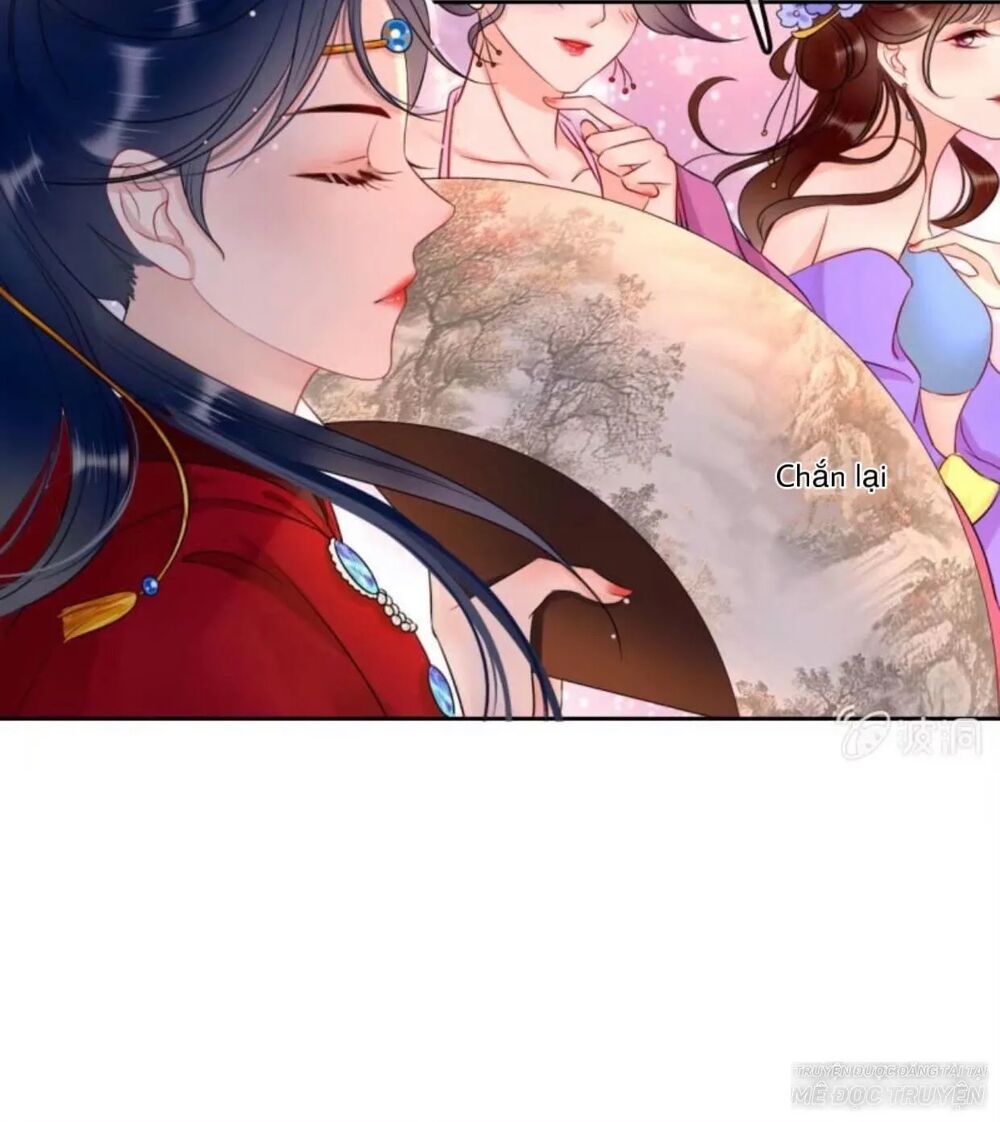 Sủng Phi Của Vương: Chapter 44.4