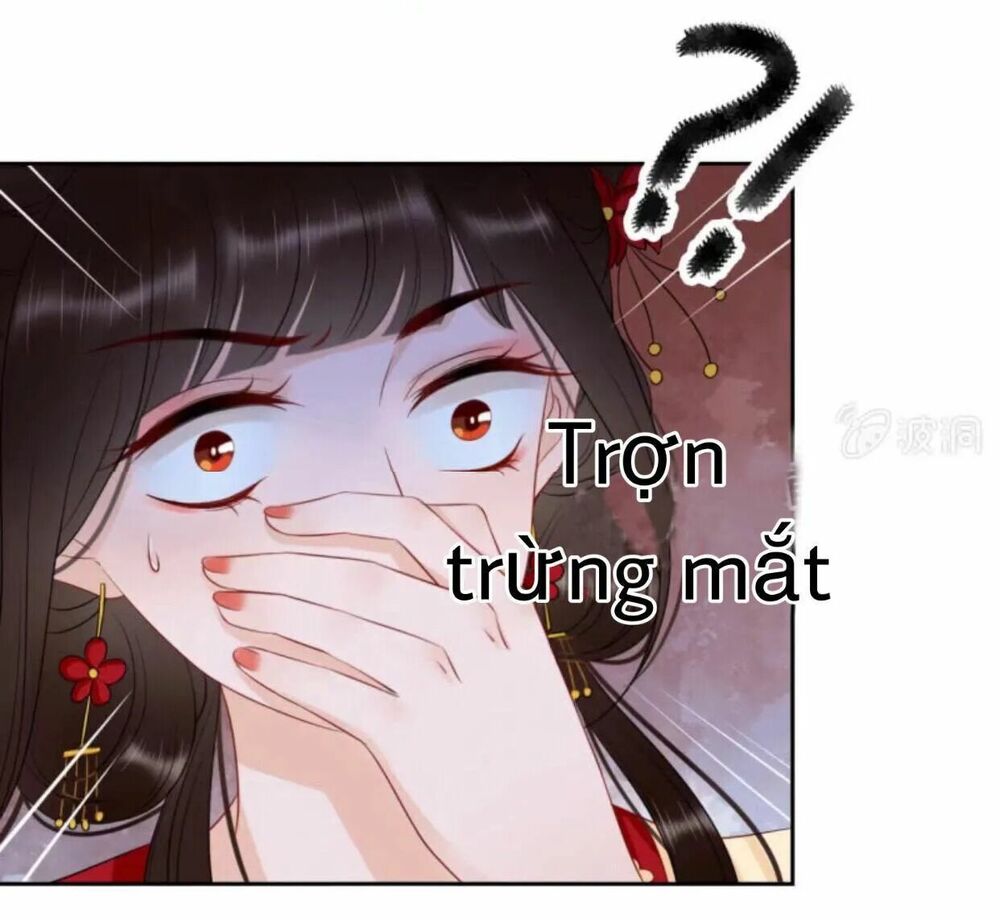 Sủng Phi Của Vương: Chapter 44