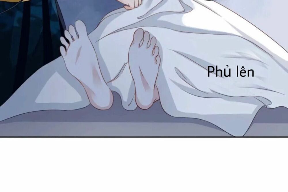 Sủng Phi Của Vương: Chapter 44