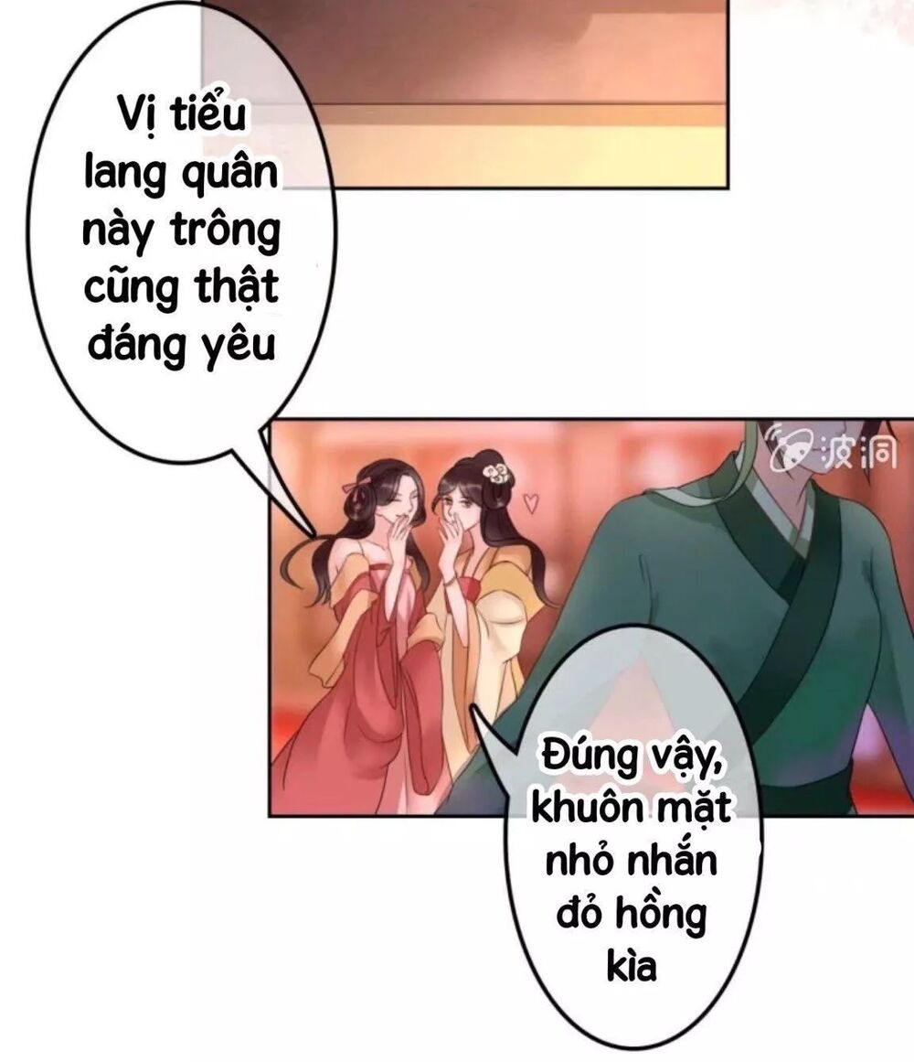 Sủng Phi Của Vương: Chapter 45