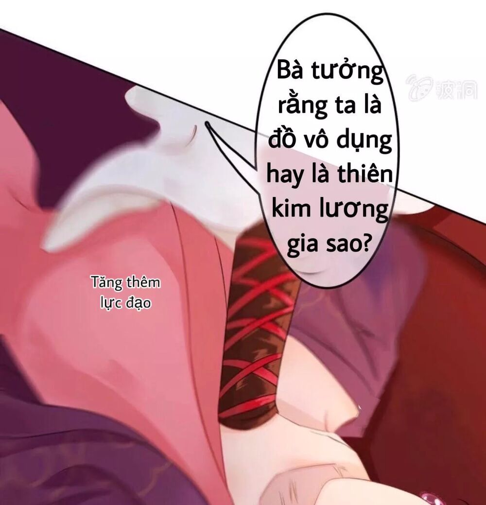 Sủng Phi Của Vương: Chapter 46