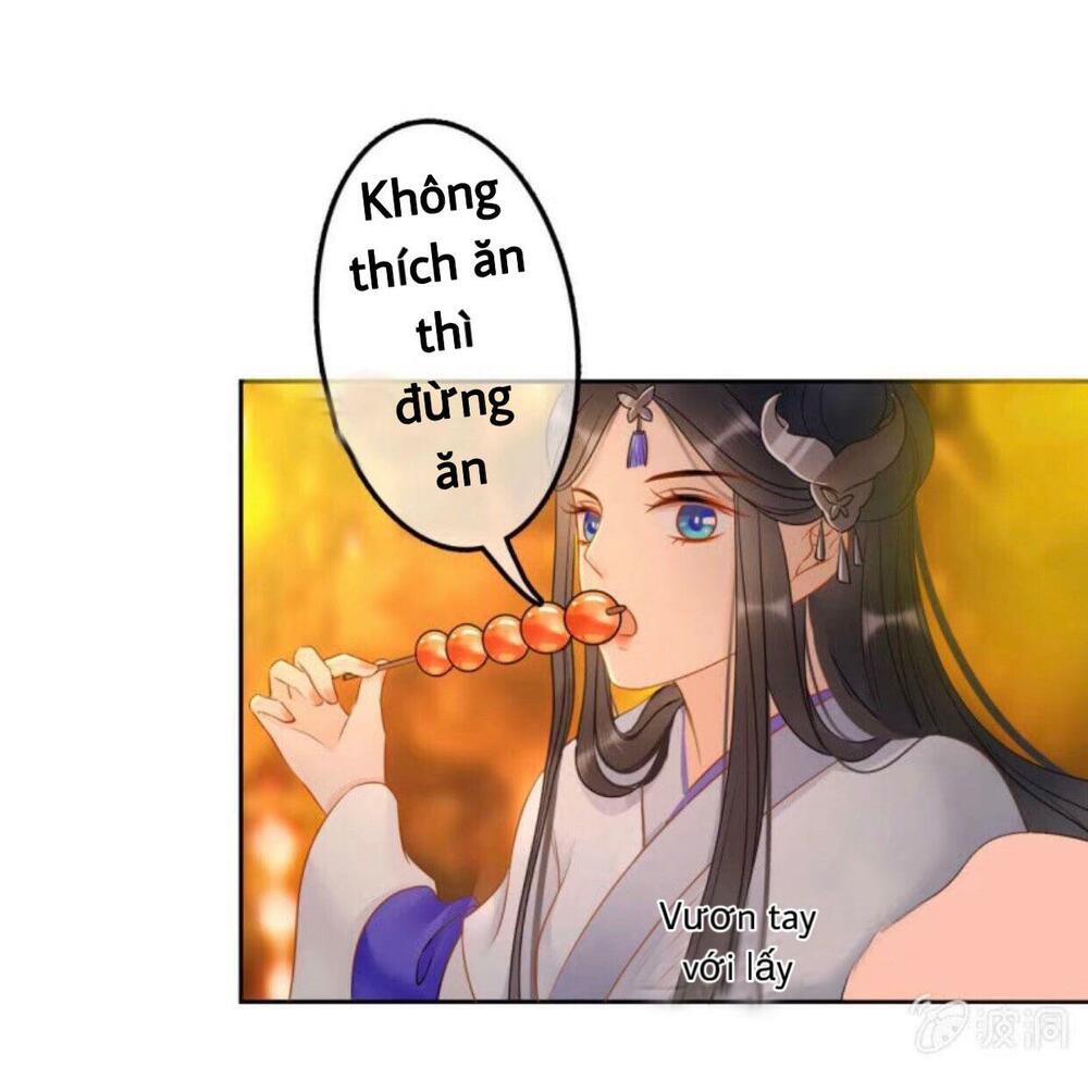 Sủng Phi Của Vương: Chapter 47