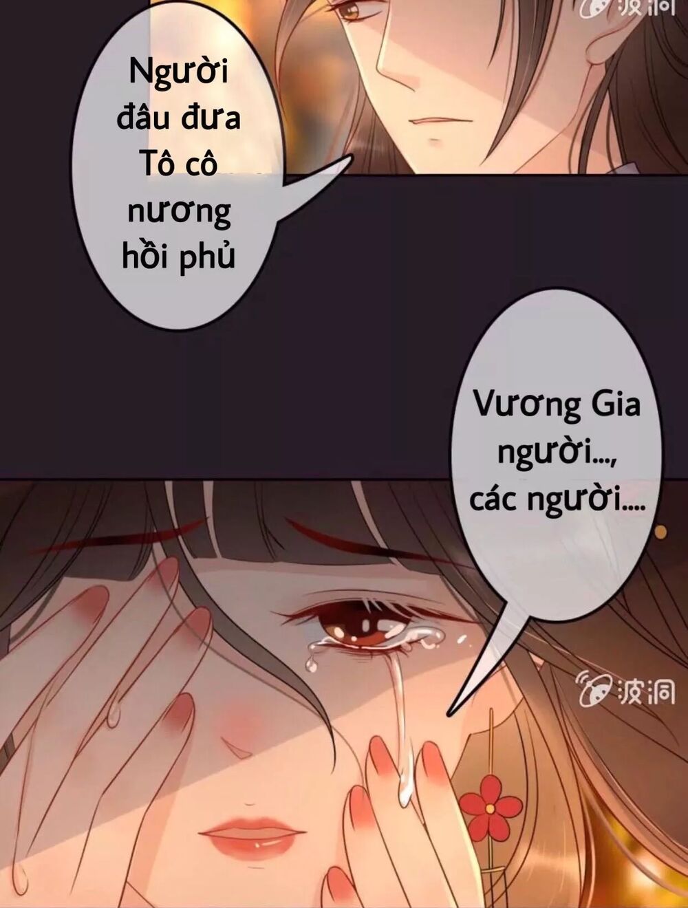 Sủng Phi Của Vương: Chapter 48