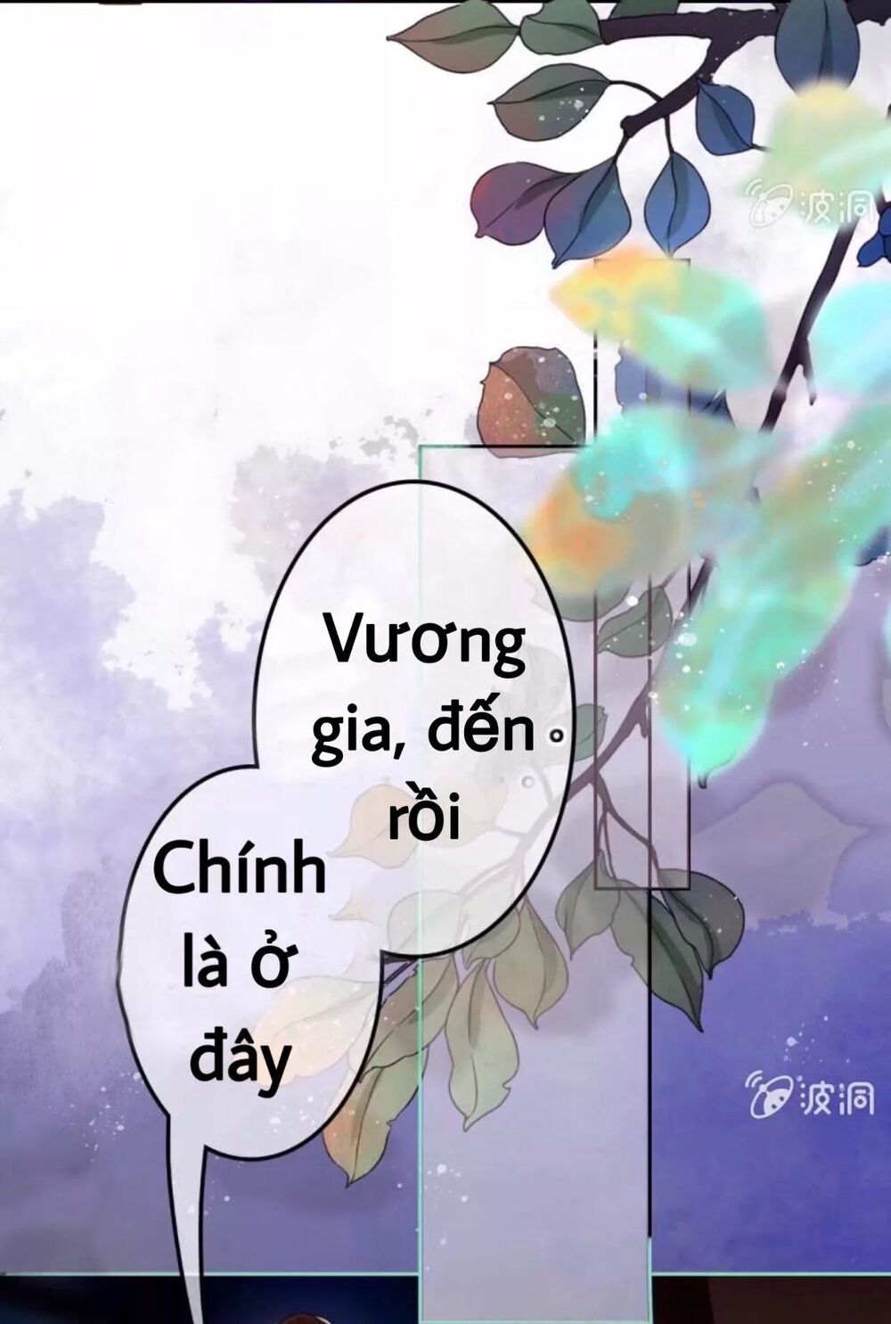 Sủng Phi Của Vương: Chapter 49