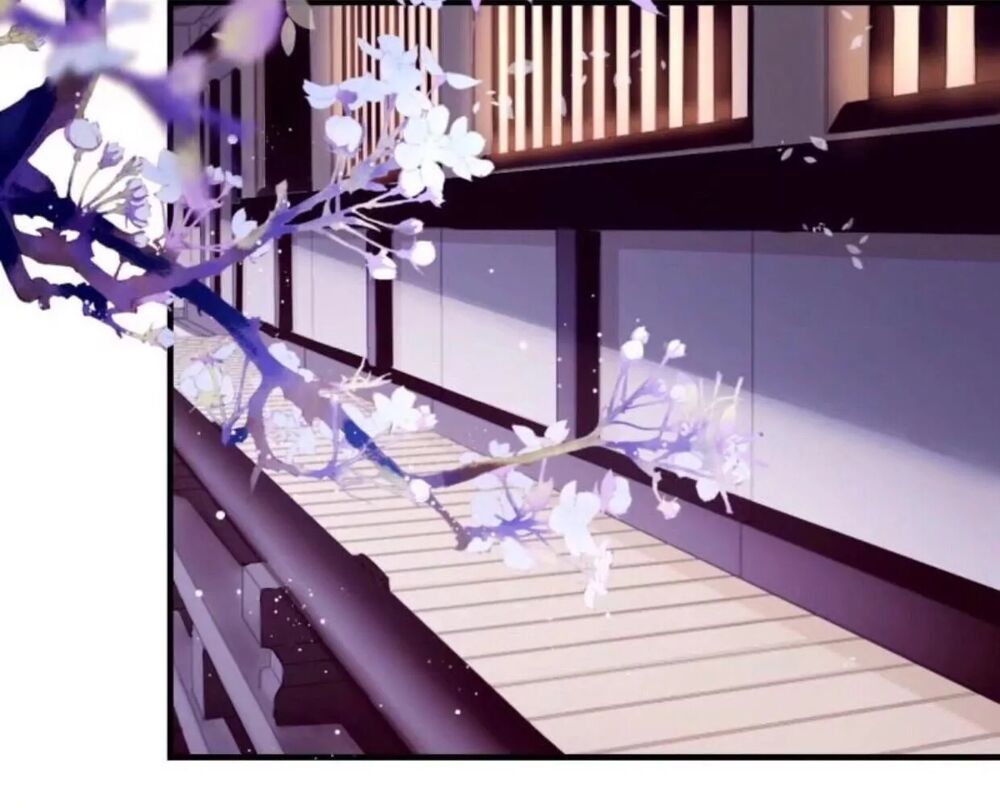 Sủng Phi Của Vương: Chapter 53