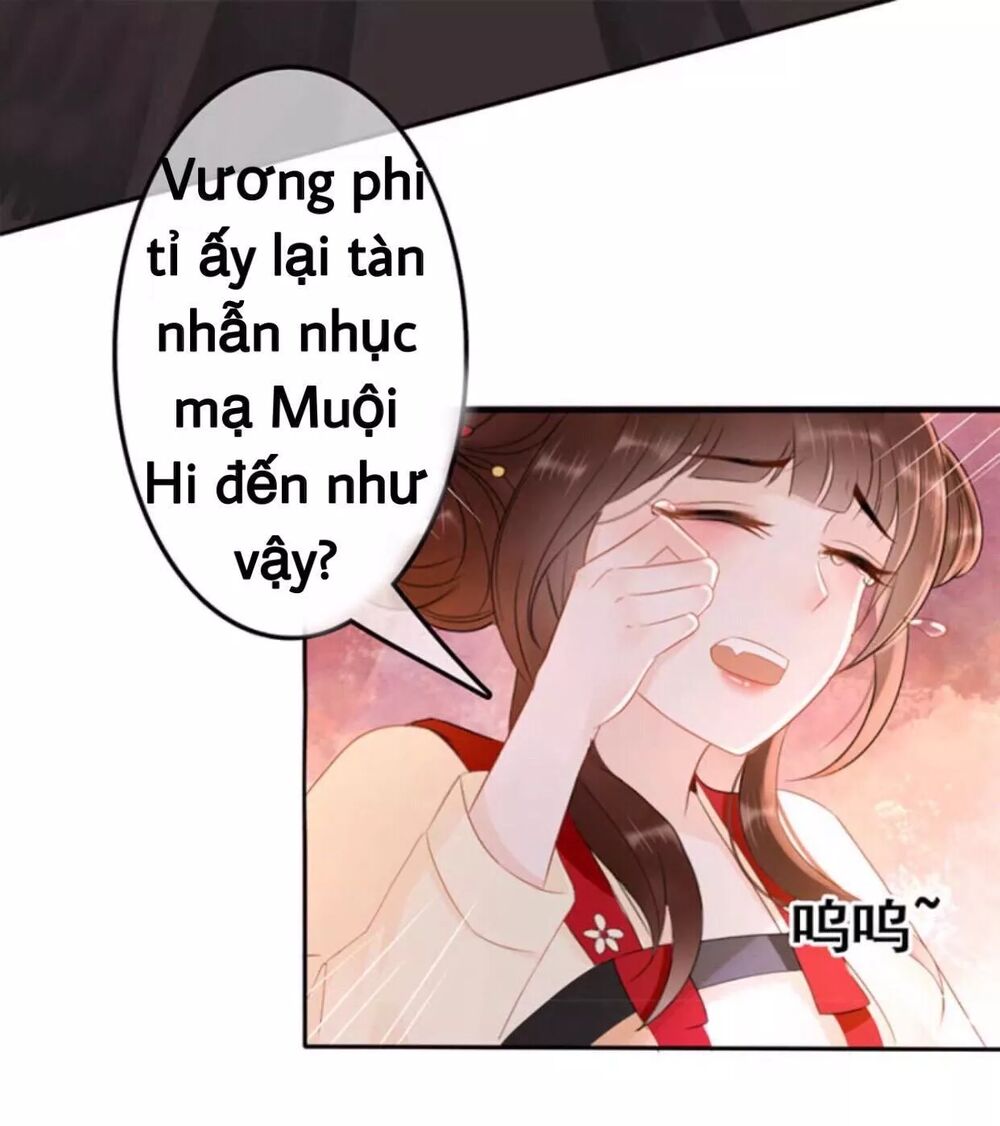 Sủng Phi Của Vương: Chapter 55