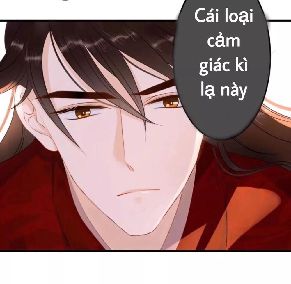 Sủng Phi Của Vương: Chapter 56