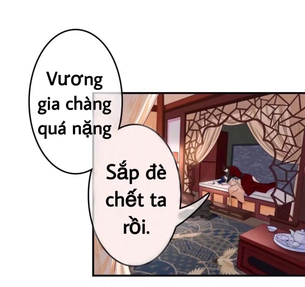 Sủng Phi Của Vương: Chapter 56