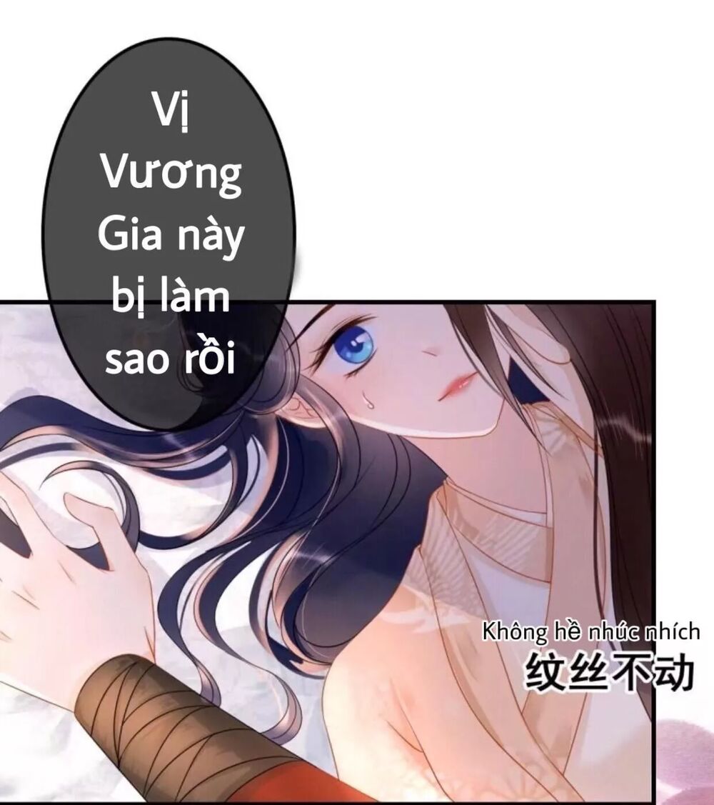 Sủng Phi Của Vương: Chapter 56