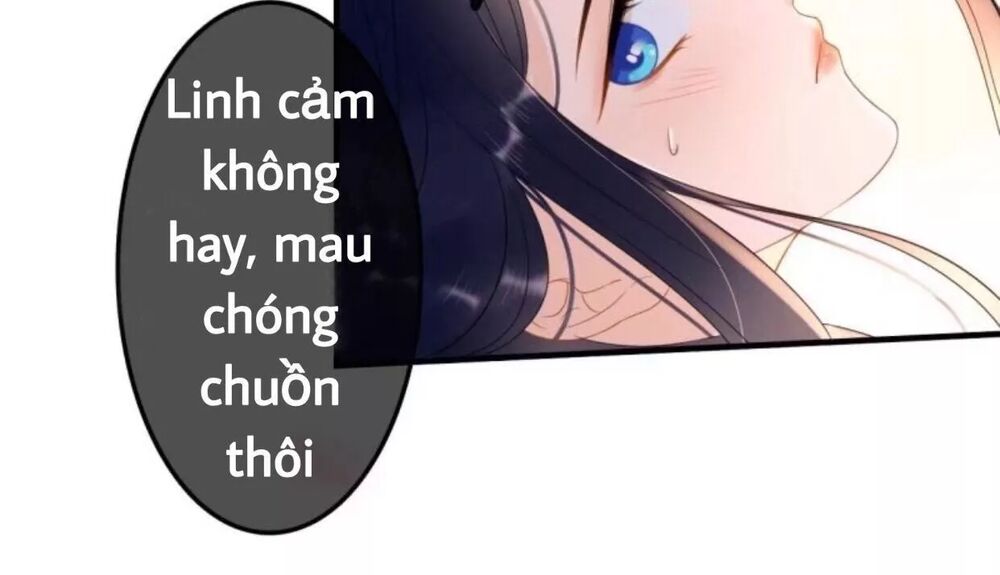 Sủng Phi Của Vương: Chapter 56