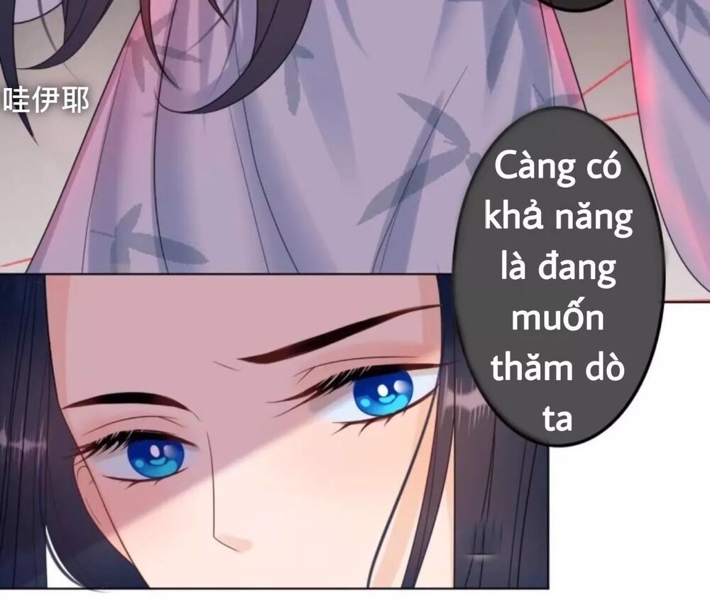 Sủng Phi Của Vương: Chapter 60