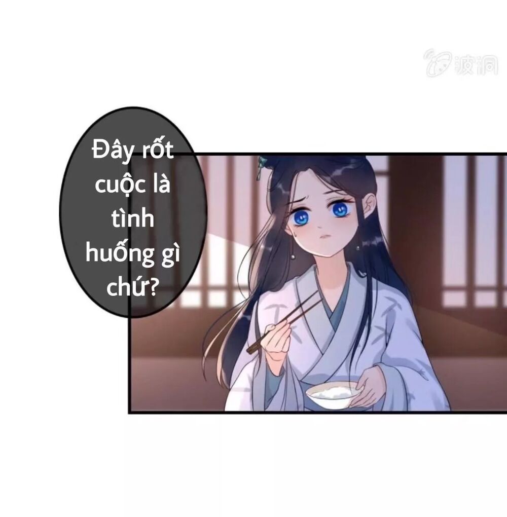 Sủng Phi Của Vương: Chapter 60