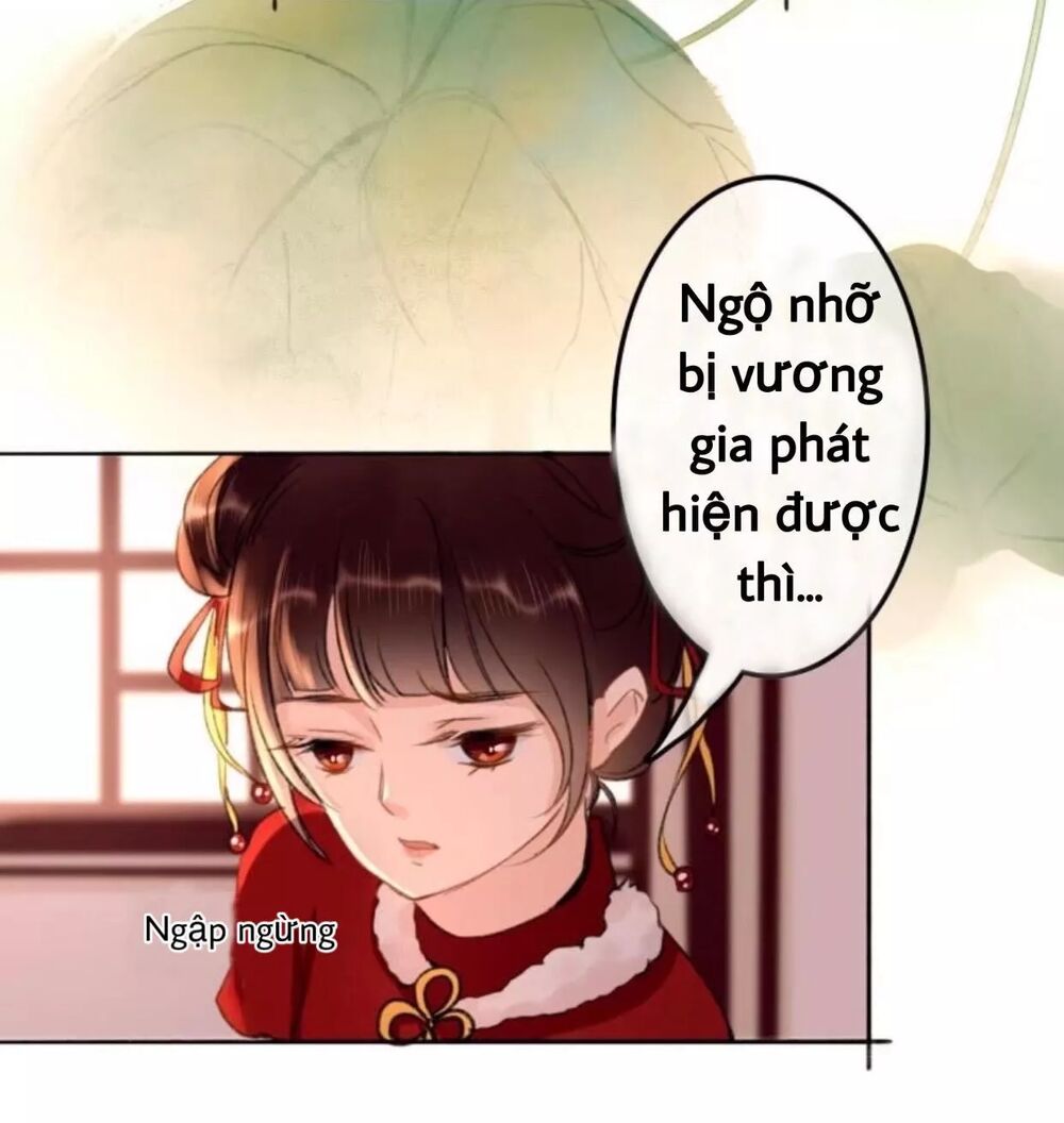 Sủng Phi Của Vương: Chapter 60