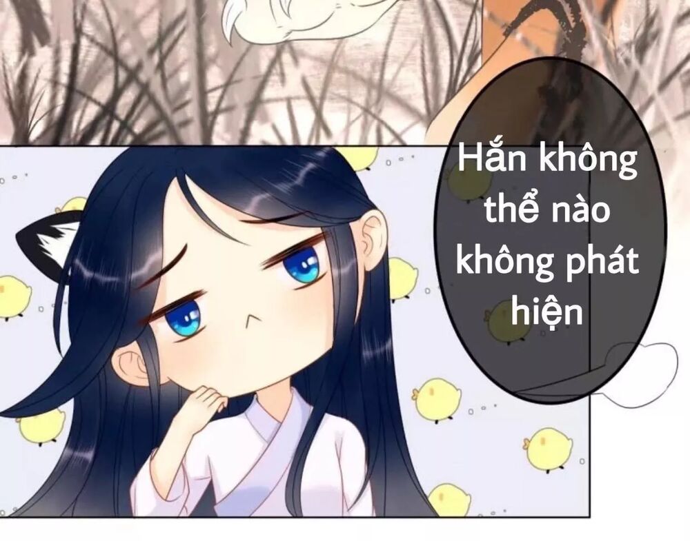 Sủng Phi Của Vương: Chapter 60