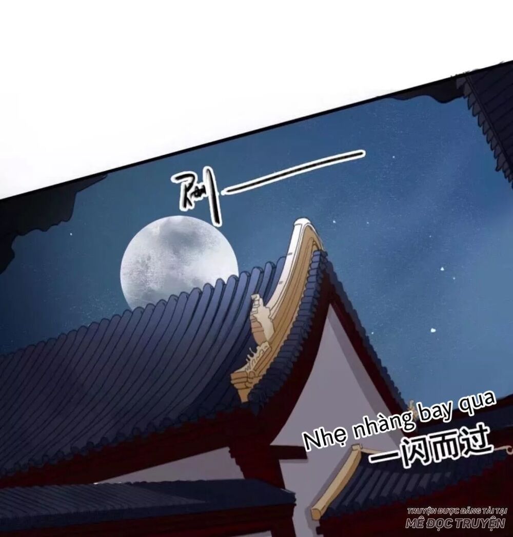 Sủng Phi Của Vương: Chapter 61