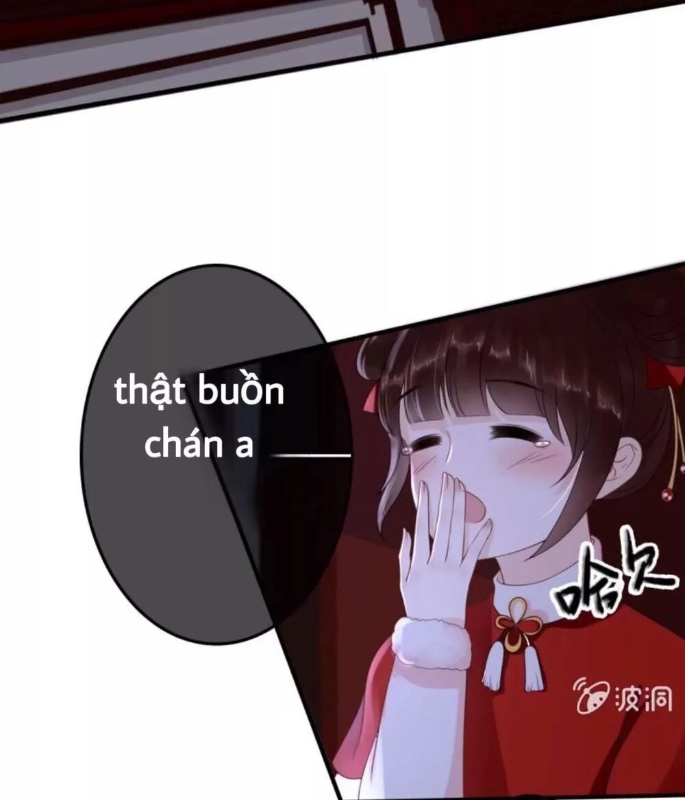 Sủng Phi Của Vương: Chapter 61