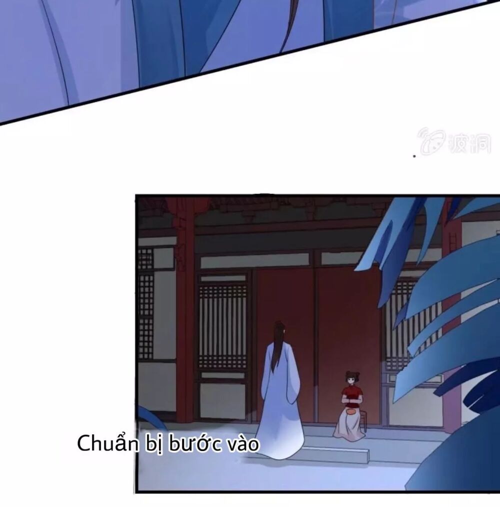 Sủng Phi Của Vương: Chapter 61