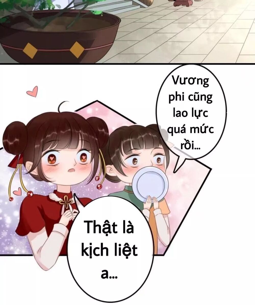 Sủng Phi Của Vương: Chapter 61