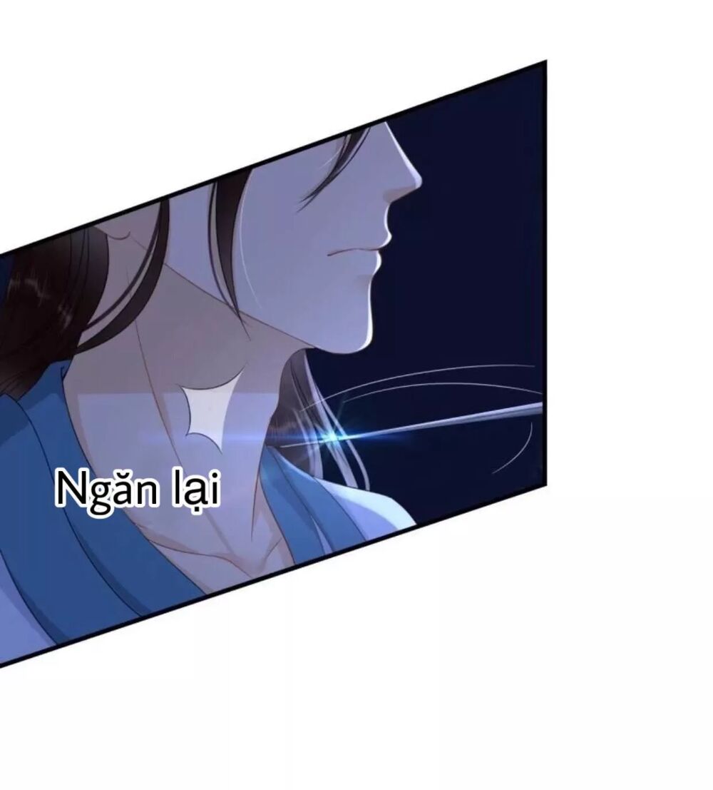 Sủng Phi Của Vương: Chapter 64