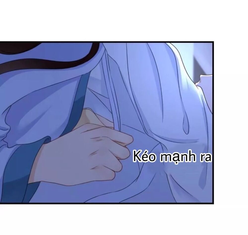 Sủng Phi Của Vương: Chapter 64
