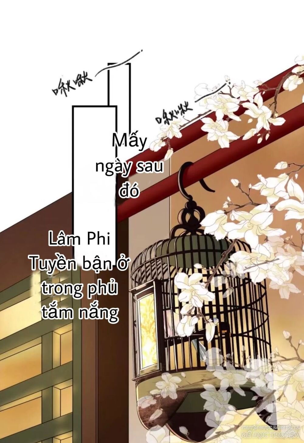 Sủng Phi Của Vương: Chapter 66
