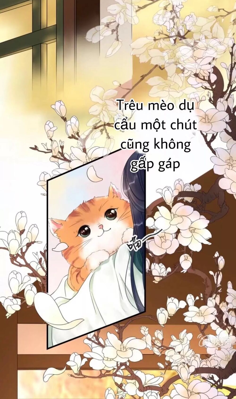 Sủng Phi Của Vương: Chapter 66