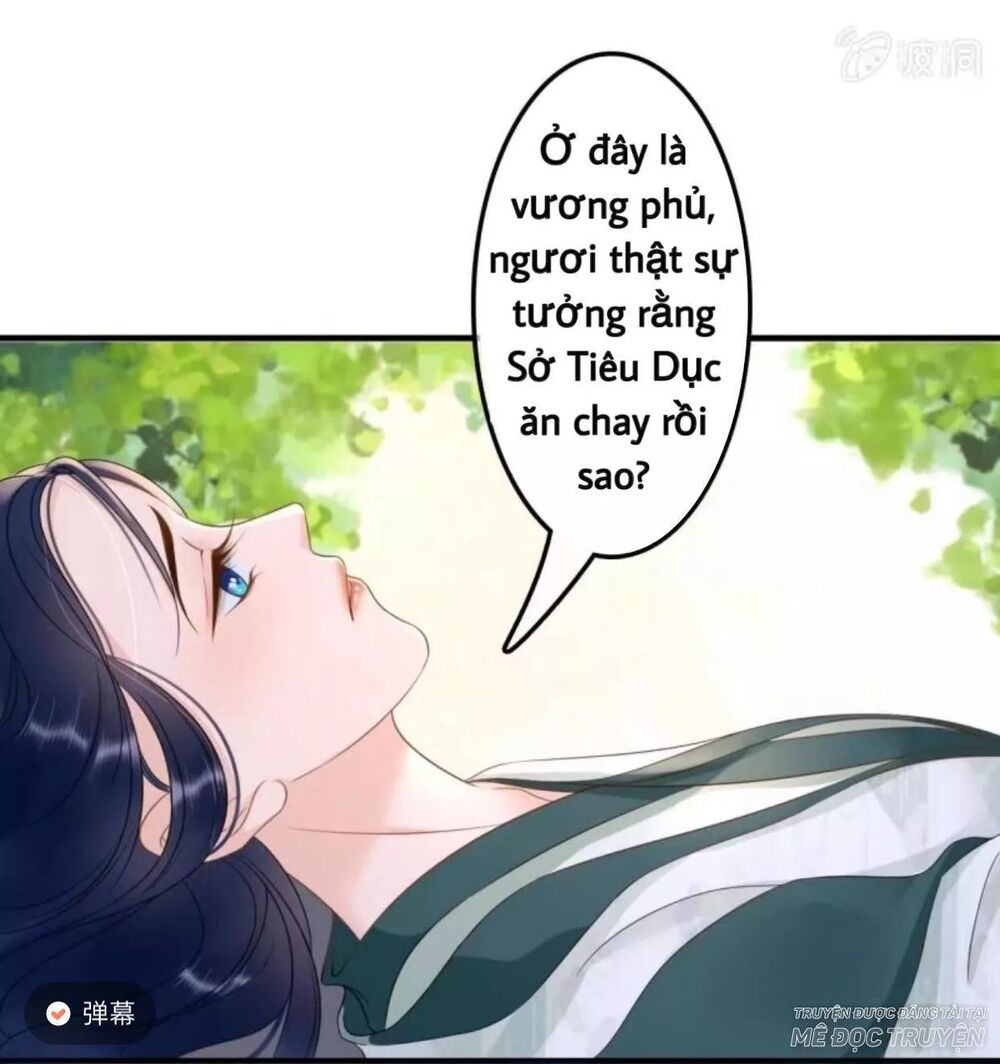 Sủng Phi Của Vương: Chapter 66