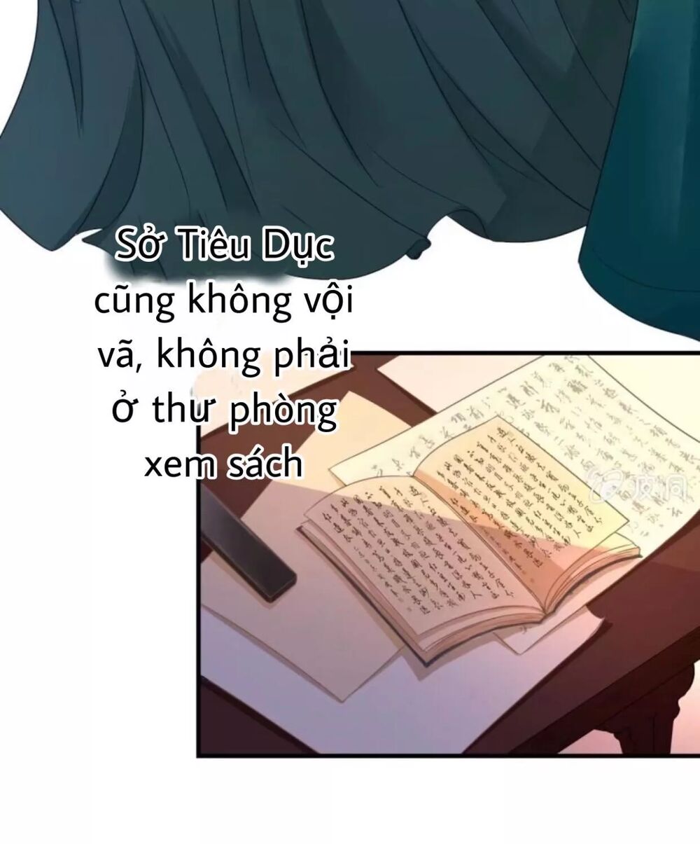 Sủng Phi Của Vương: Chapter 66