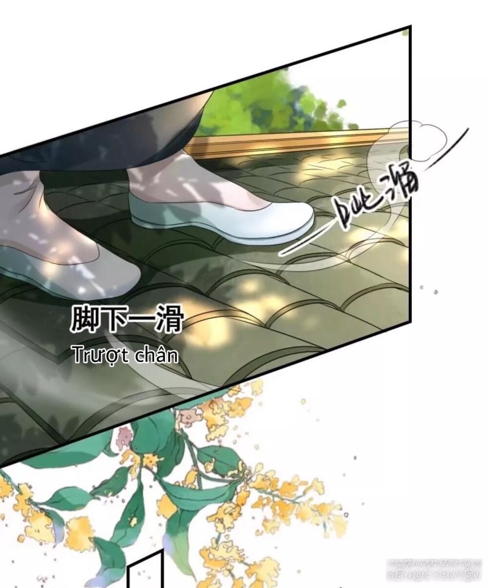 Sủng Phi Của Vương: Chapter 67