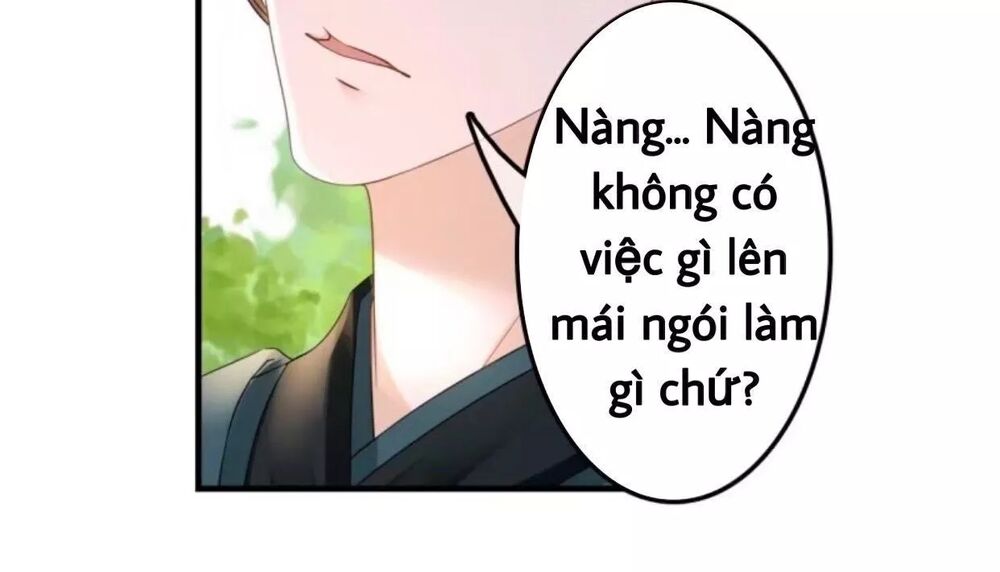 Sủng Phi Của Vương: Chapter 67
